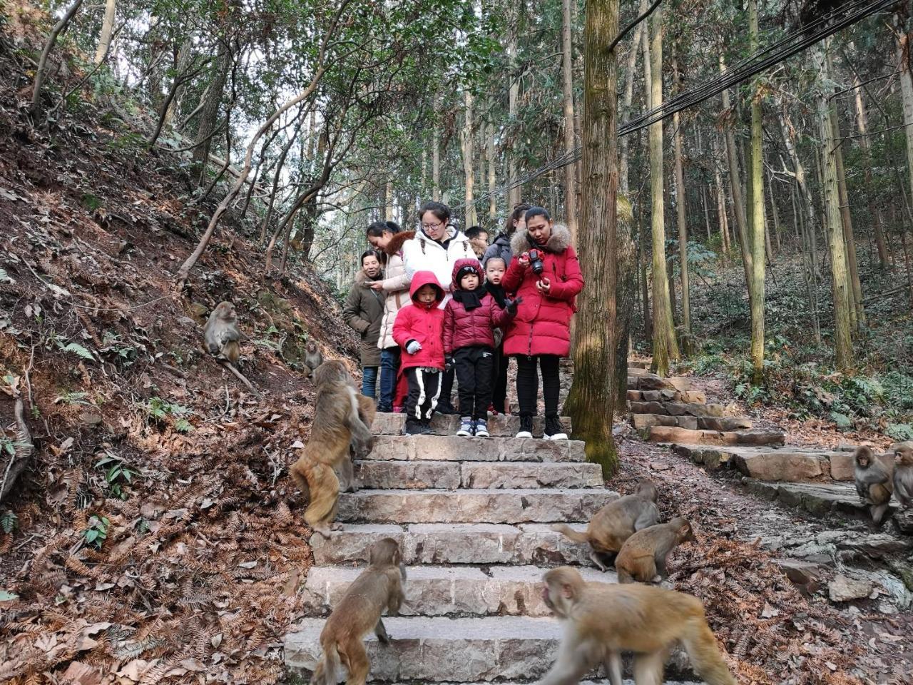 Zhangjiajie National Park Yuelu Homestay Exterior photo