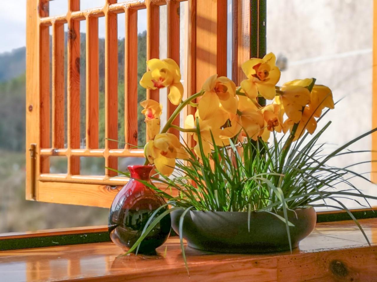 Zhangjiajie National Park Yuelu Homestay Exterior photo